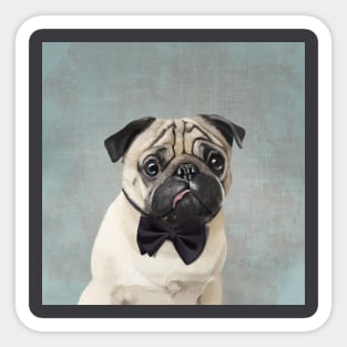 Mr Pug Sticker